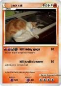 jack cat