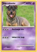 loup-rottweiler