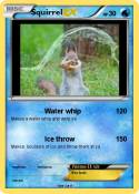 Squirrel