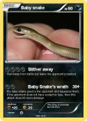 Baby snake