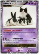 bunnacat