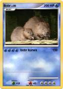 Bobr