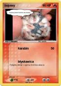 bojowy