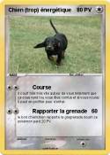Chien (trop)