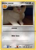 mister meow