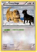 Crazy Dogs