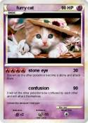 furry cat