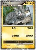 Chat