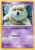 chow-chow