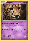 leopard