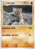 bébé tigre