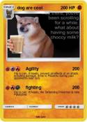 dog are cool