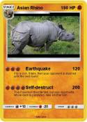 Asian Rhino