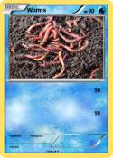 Worms