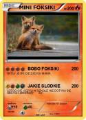 MINI FOKSIKI