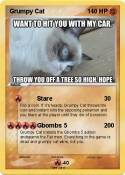 Grumpy Cat