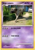 dogo canario