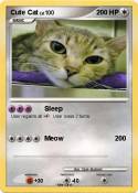 Cute Cat