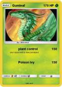 Gumleaf