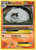 Dikke Poes