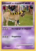 bullmastiff se