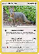 GREY fox