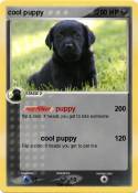 cool puppy