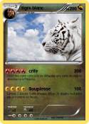 tigre blanc