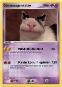 Ohrenaugenkatze