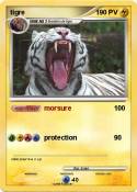 tigre