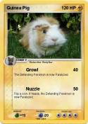 Guinea Pig