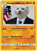 President Biden