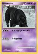 cane corso