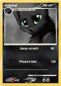Hollyleaf