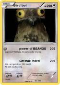 Bird boi