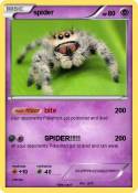 spider