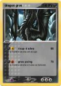 dragon gros