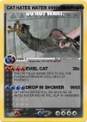 CAT HATES WATER