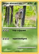 berger allemand