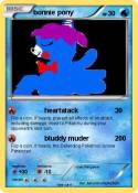 bonnie pony