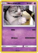 More wiski pls