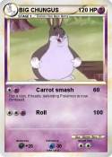 BIG CHUNGUS