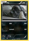 dog