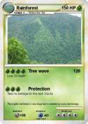 Rainforest