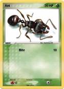 Ant