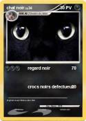 chat noir
