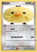 BUP BOI