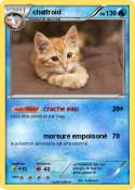 chatfroid