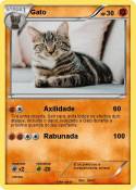 Gato