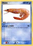 Prawn